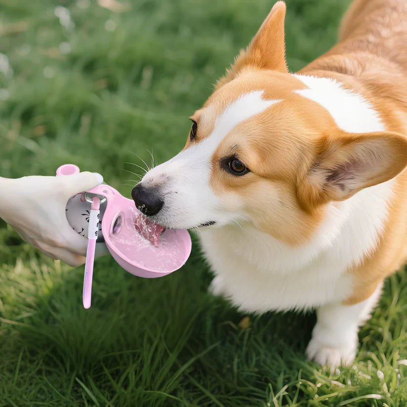Portable Dog Water Bottle, Healthy & Sanitary Design Perfect for Travel